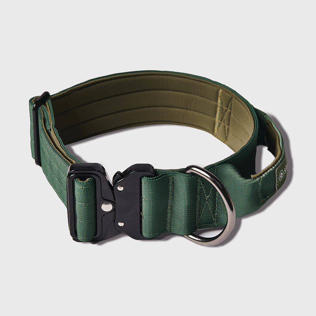 Tactical Dog Collar - Army Green