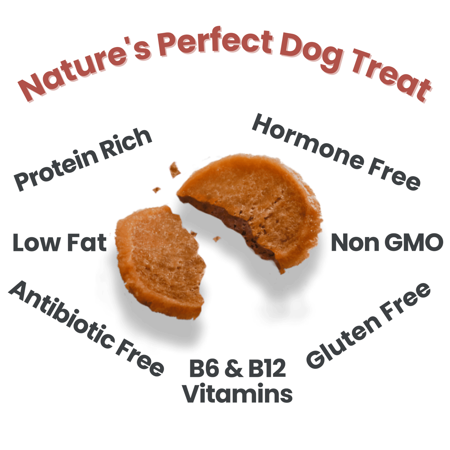 Holiday Turkey Feast Chips 12oz