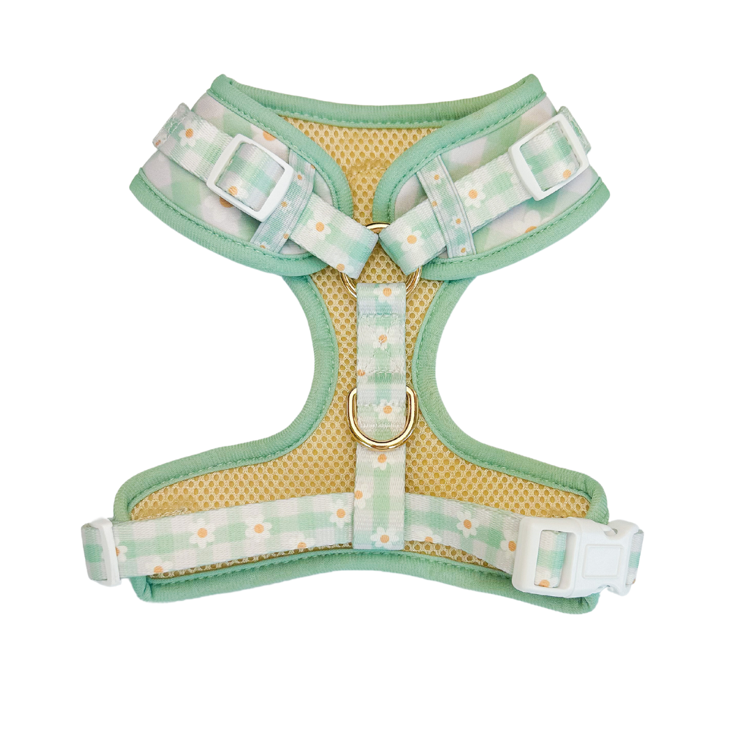 Oopsie Daisy! Adjustable Dog Harness