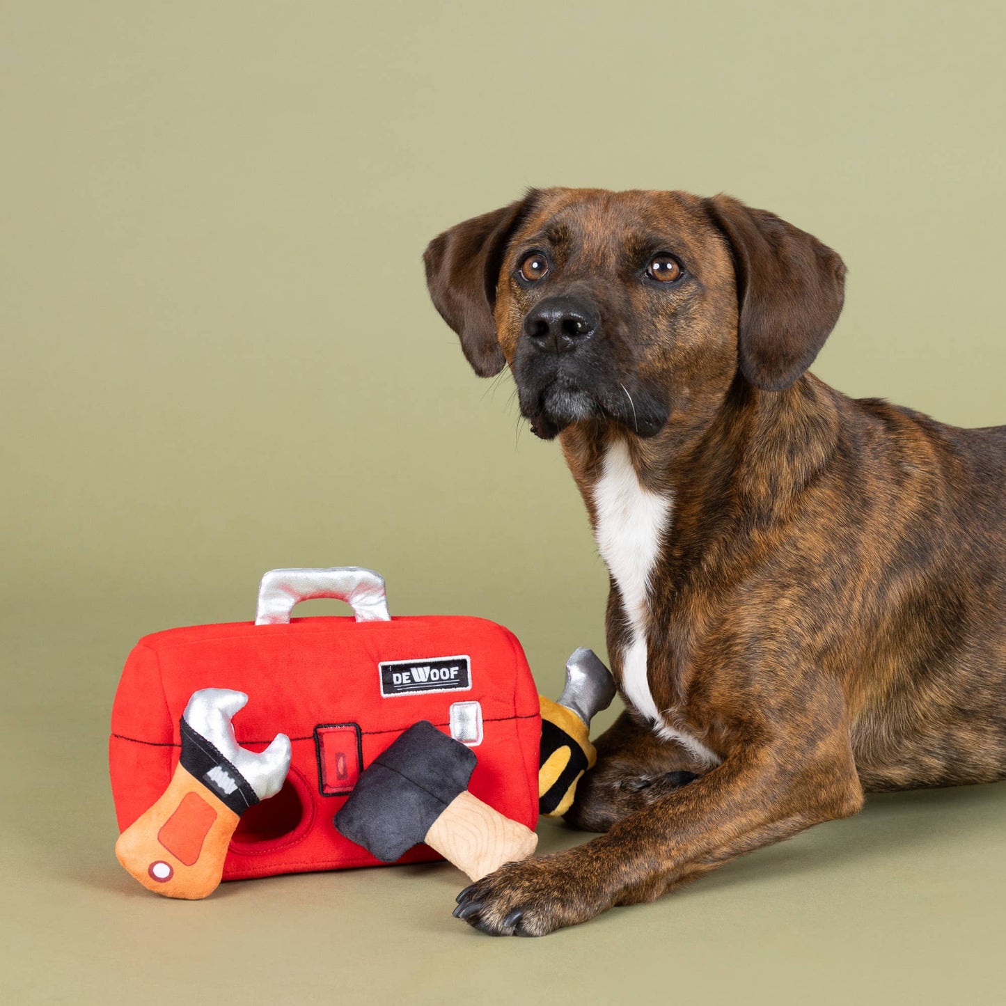 My Tools My Rules Hide & Seek Plush Dog Toy
