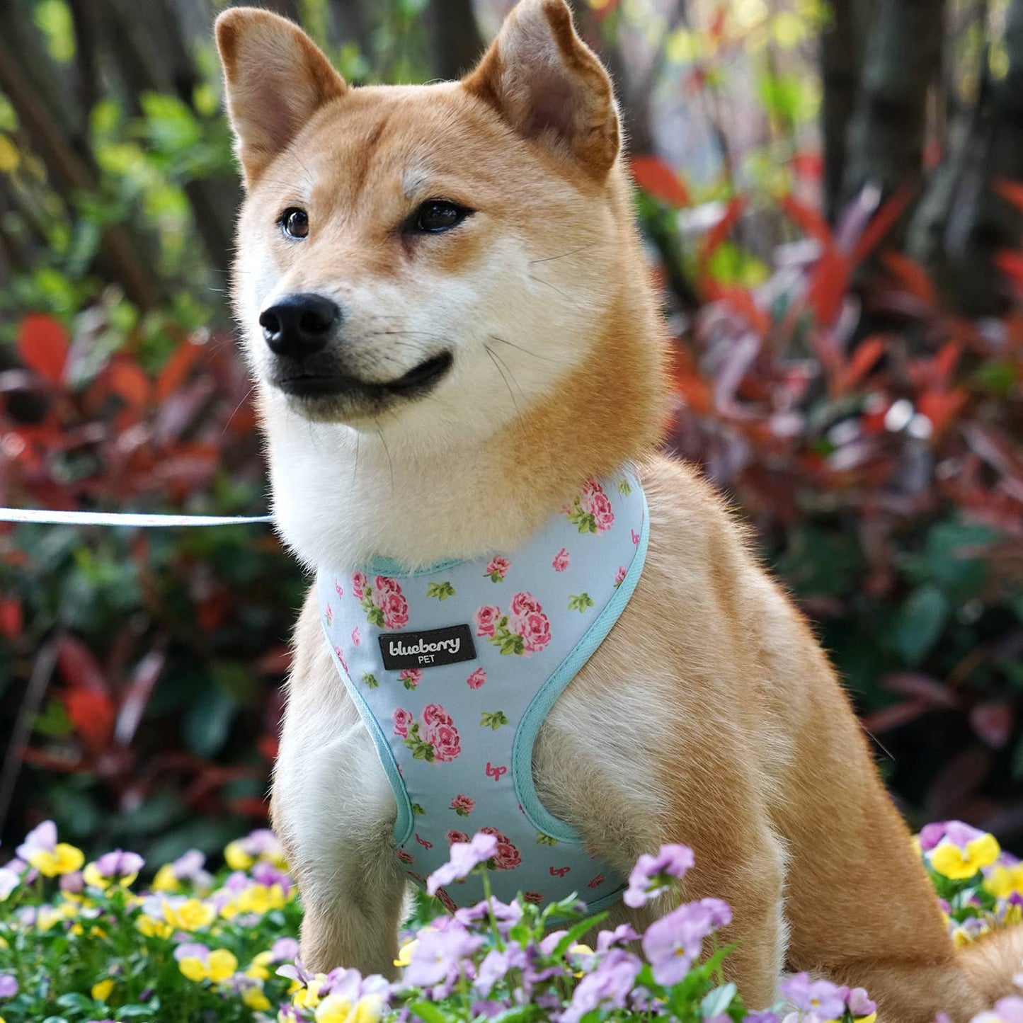 Chaleco arnés para perros con diseño floral de Petal Paws
