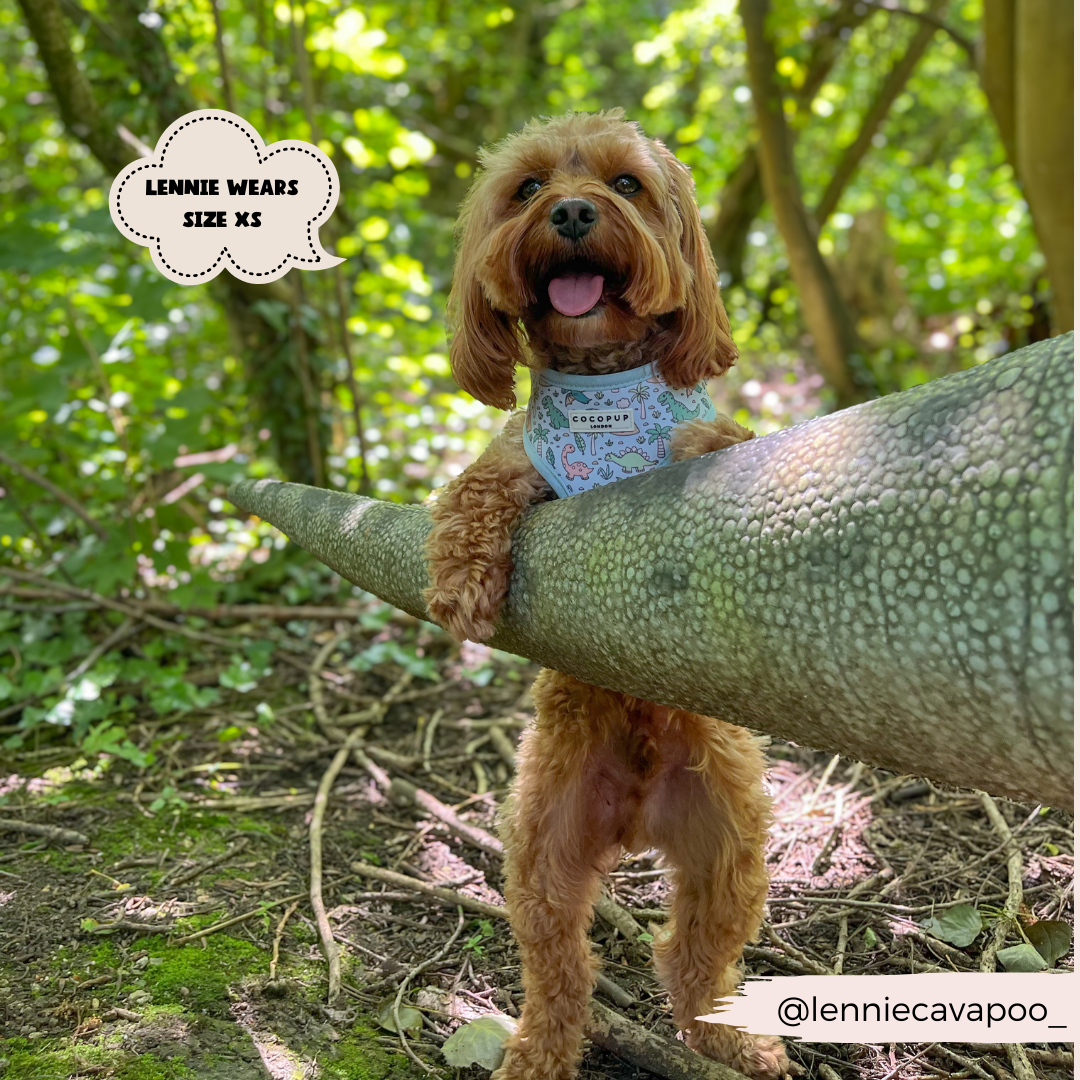 Dinopaws Adjustable Neck Dog Harness