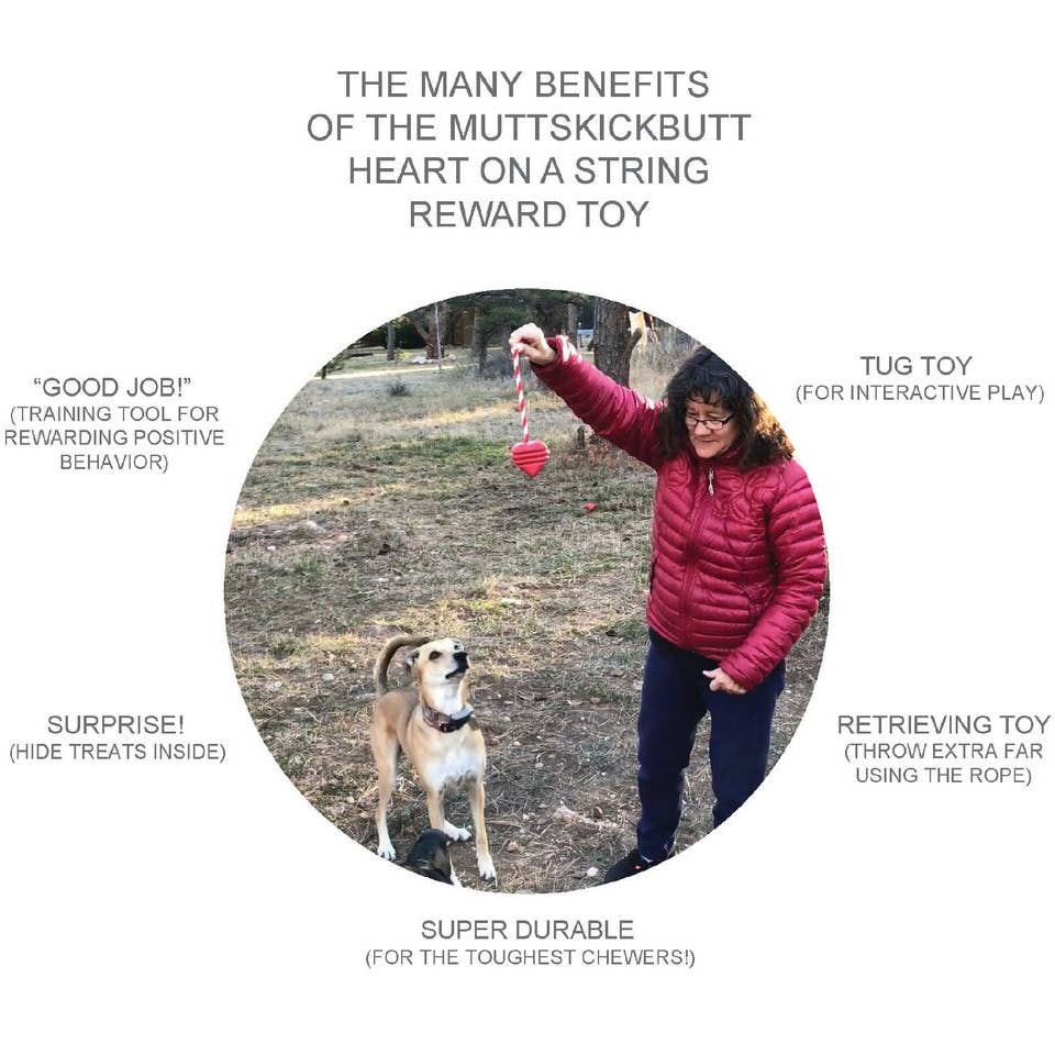 Heart on a String - Ultra-Durable Reward Ball