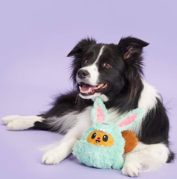 Buddy The Nutty Bunny Easter Plush Dog Toy