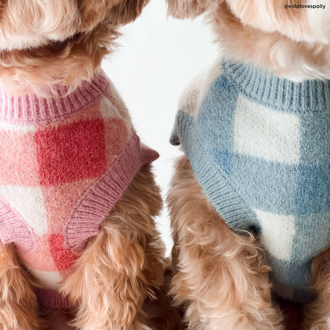 Take a Bow Sweater: Pink