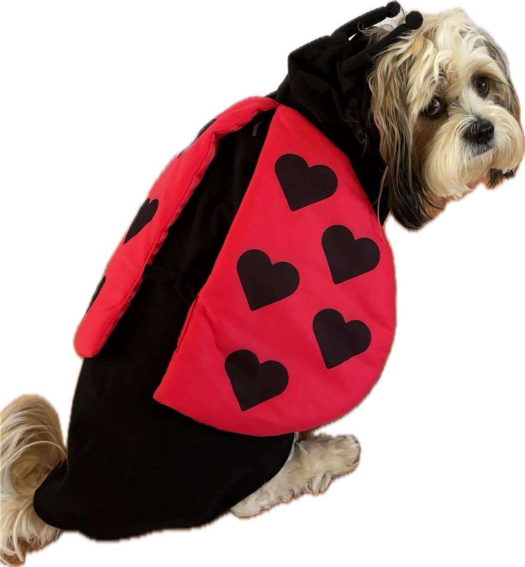 Disfraz de mariquita para perro para Halloween