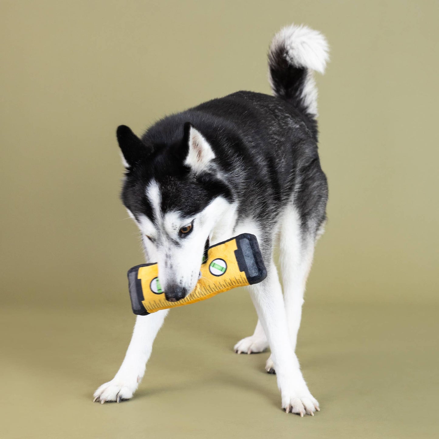 Let Me Level with You Plush Dog Toy