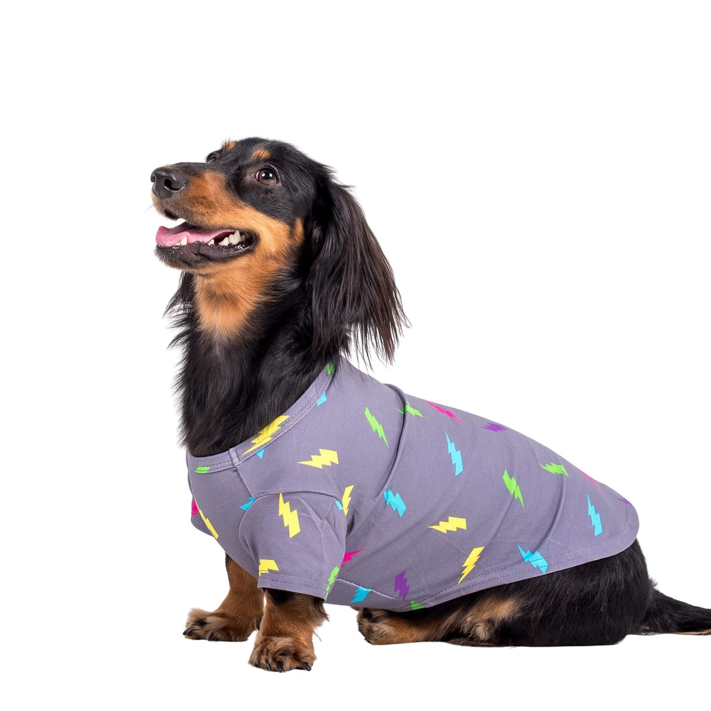 Electric Energy Dog Shirt