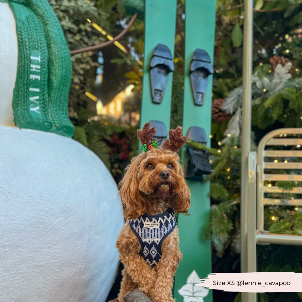 Arnés ajustable para perros Chalet Pup
