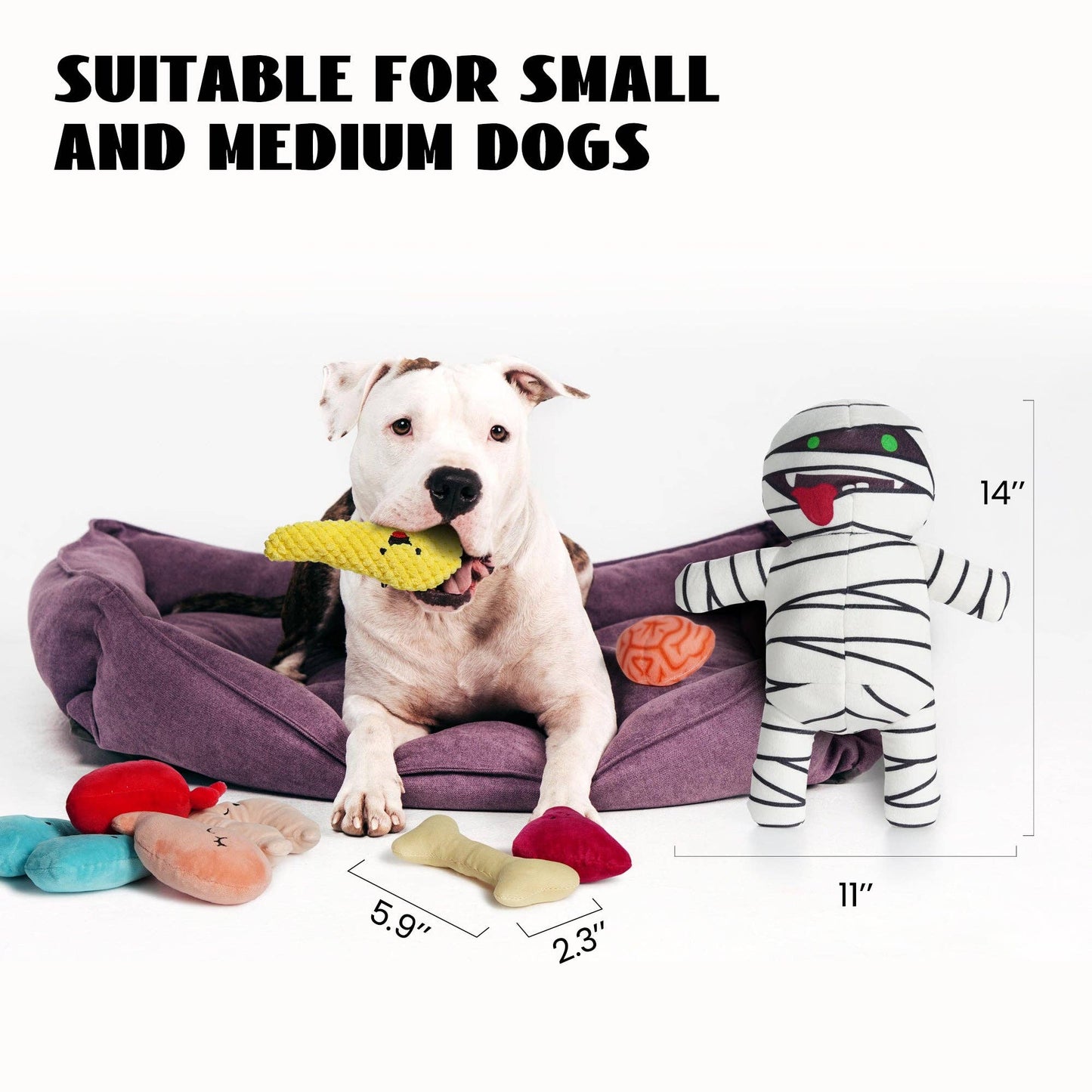 9-in-1 Stuffed Plush Squeaky Mummy Body