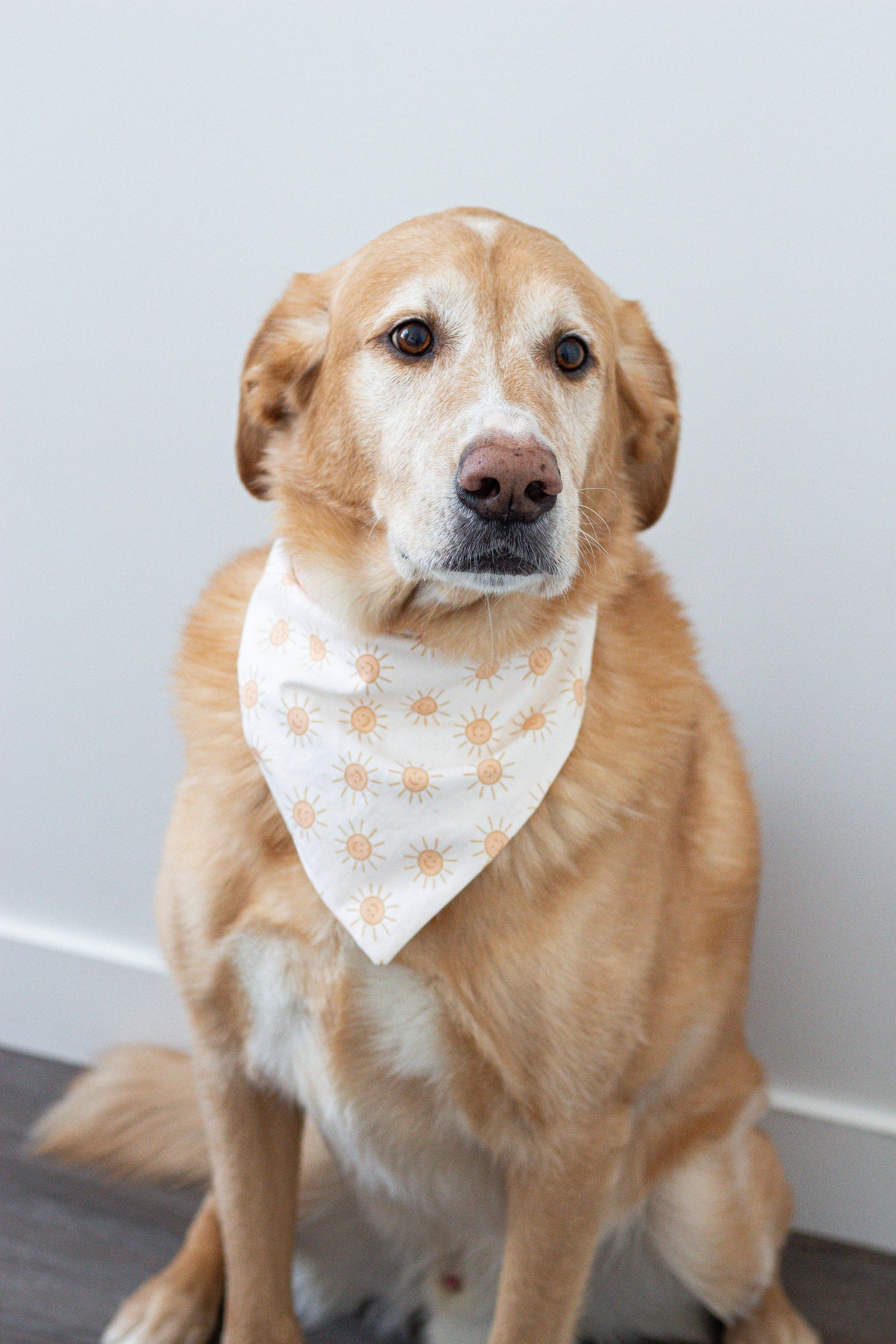 Sunshine Vibin’ Dog Bandana - Assorted Sizes