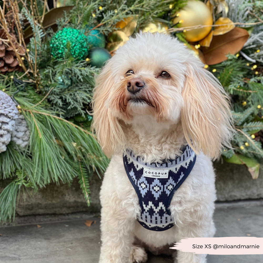 Arnés ajustable para perros Chalet Pup