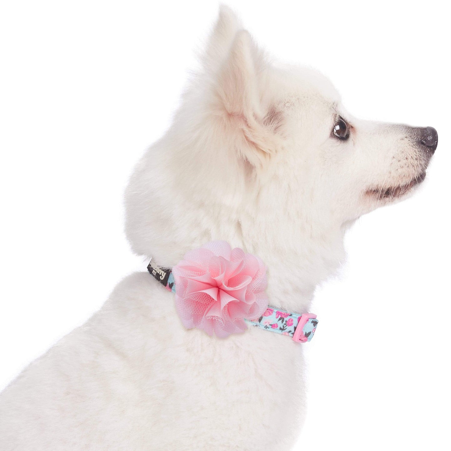 Floral Dog Collar with Flower - Assorted Colors
