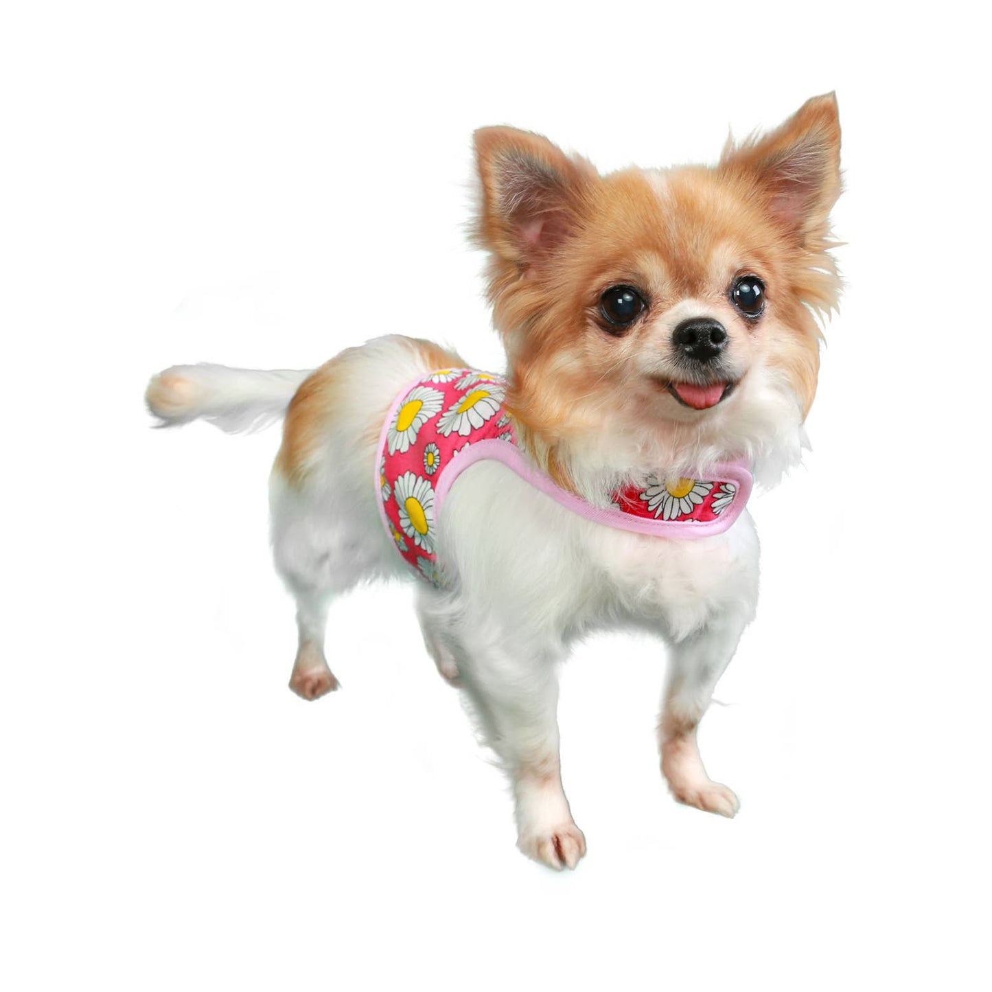 Daisy Dog Harness