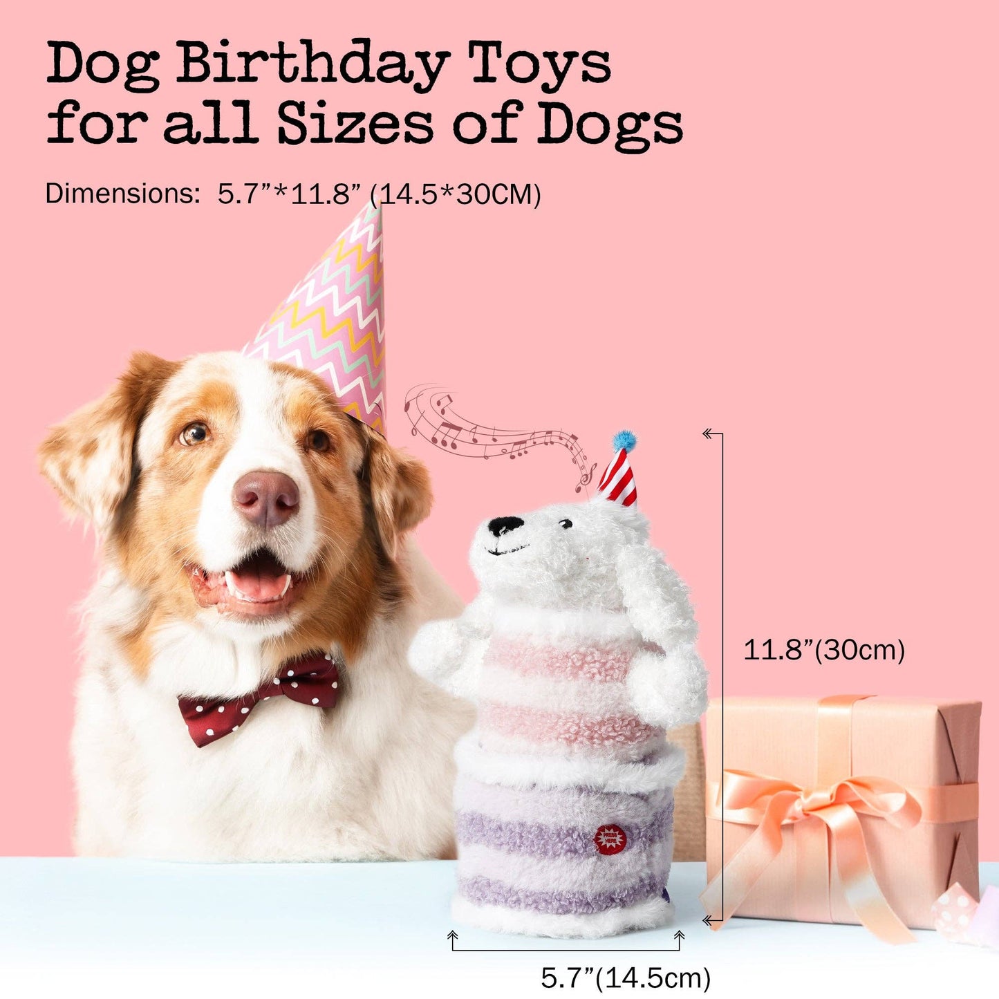 Fuzzwoof Singing and Dancing Birthday Cake Dog Toy: Dancing Teddy