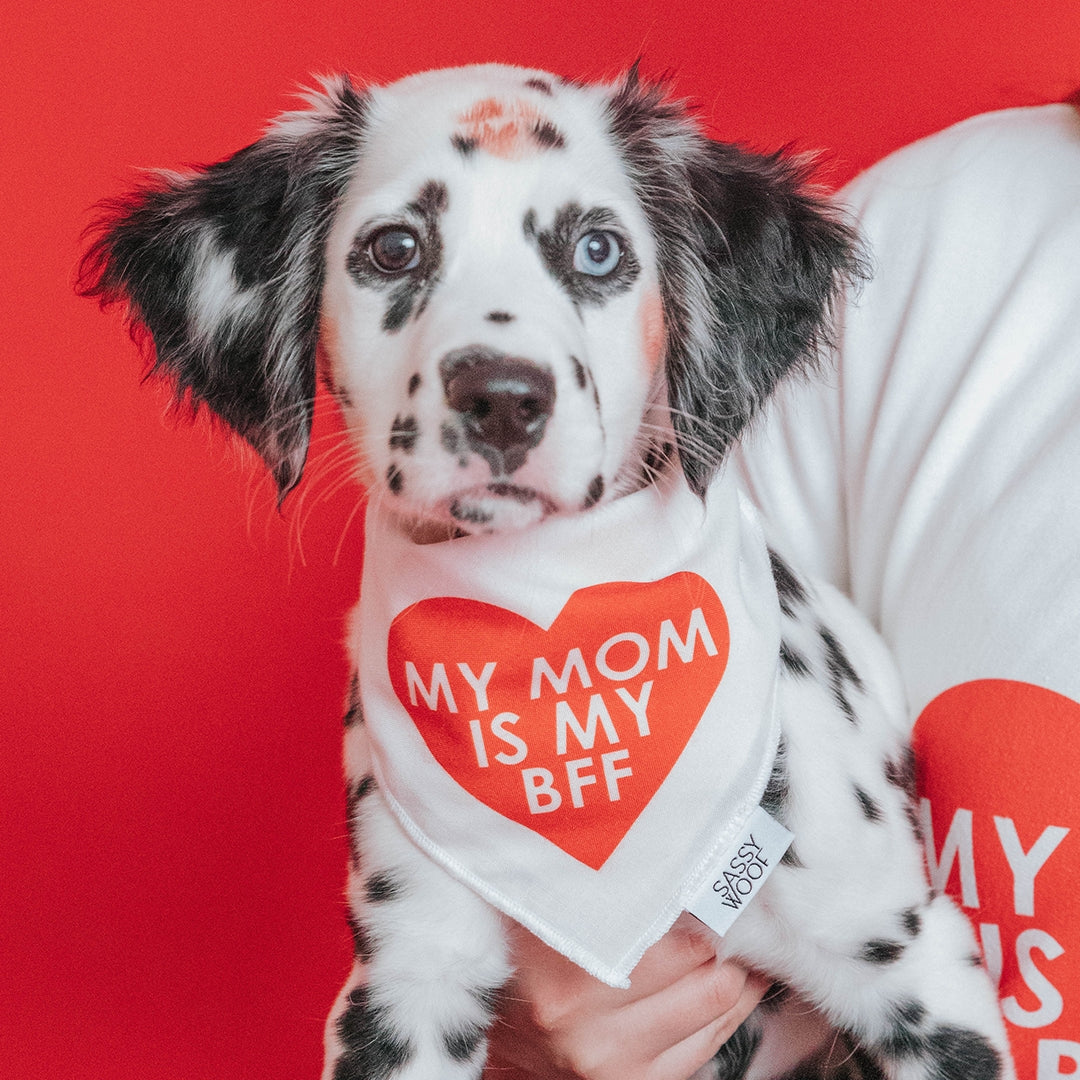 My Mom is my BFF Dog Bandana - Assorted Colors