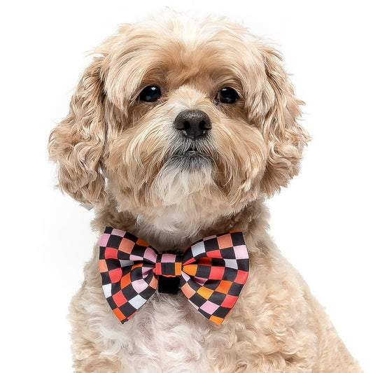 Black Checkered - Dog Collar Bow Tie