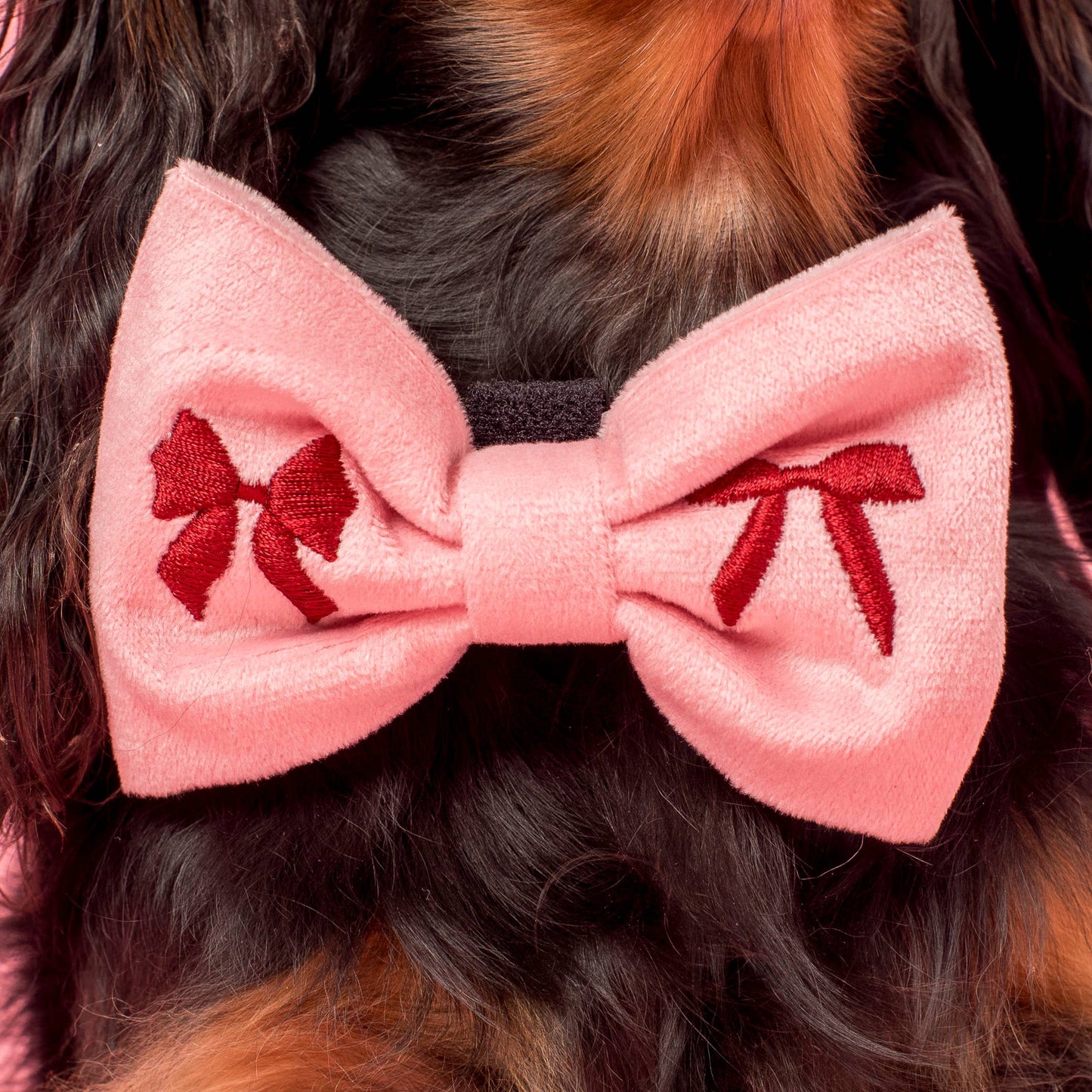 Velvet Blush Bows Embroidered Dog Bow Tie