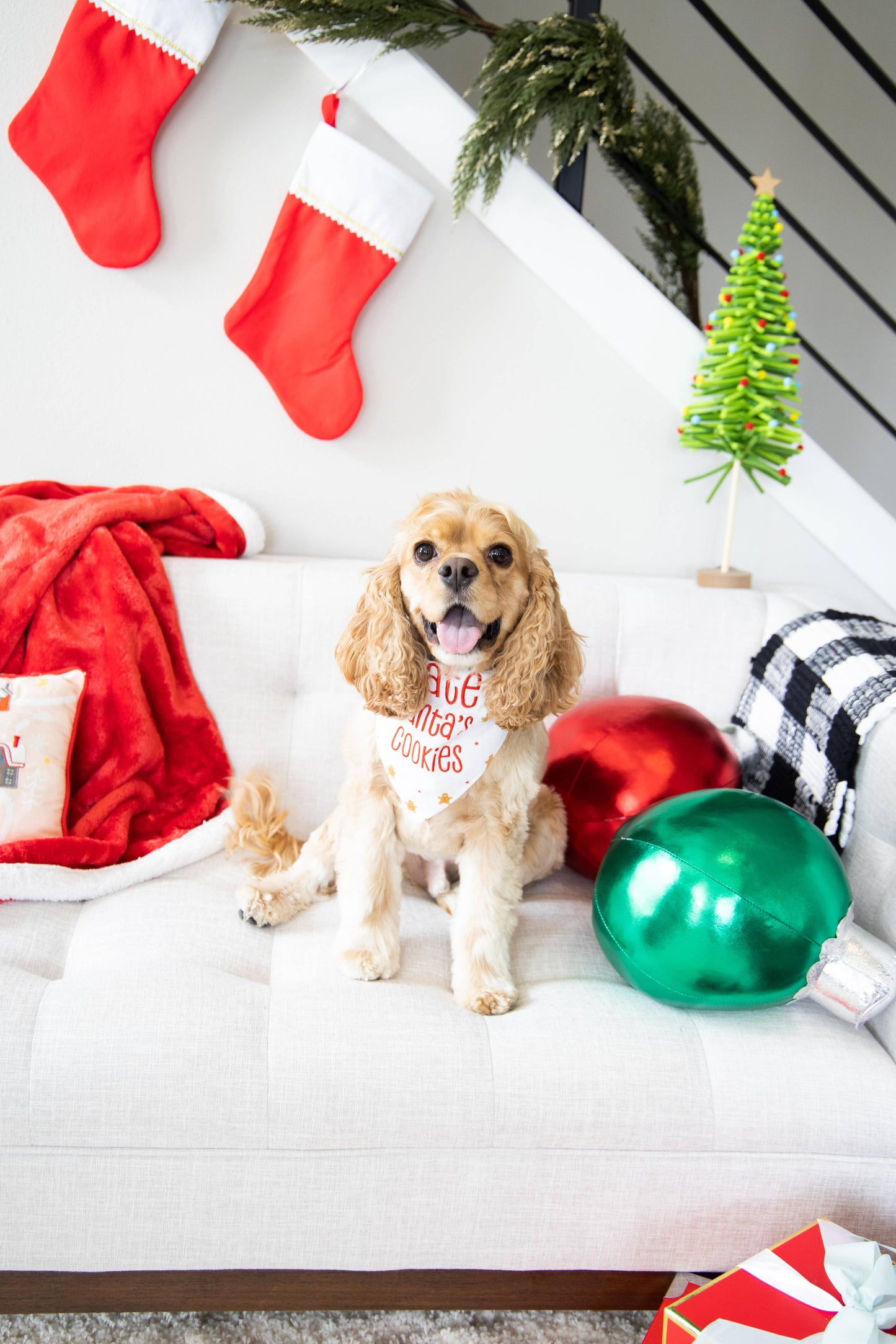 "I Ate Santa's Cookies" Christmas Dog Bandana