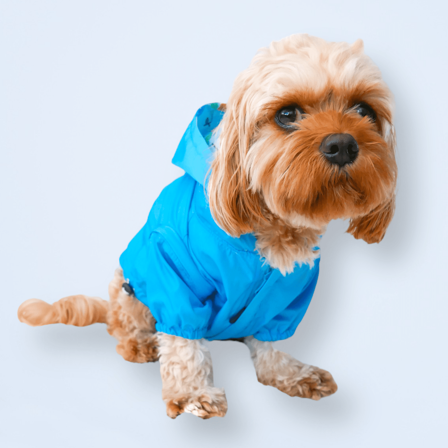 Chubasquero reversible para perros Showers