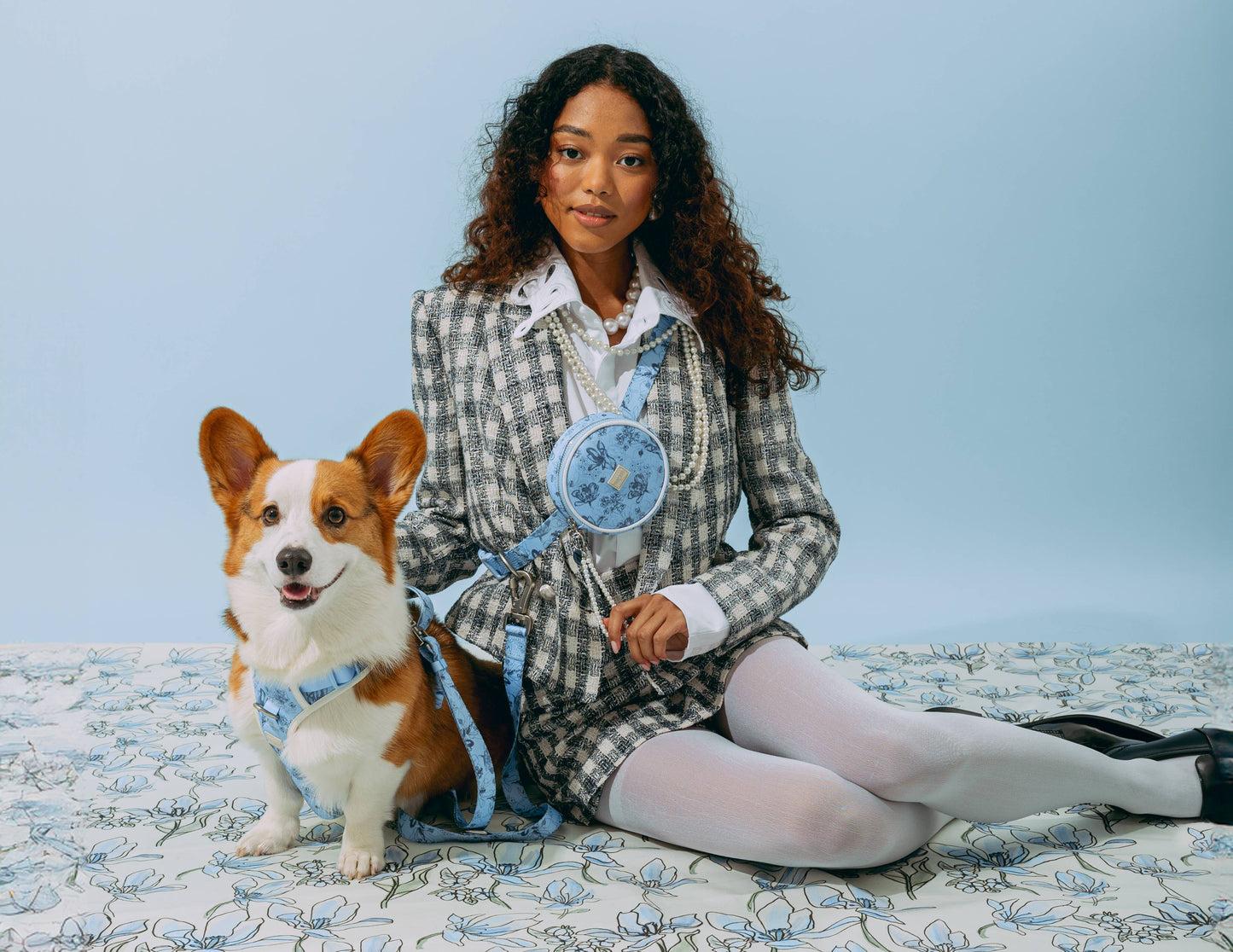 Bridgerton x maxbone Walk Set for Dogs