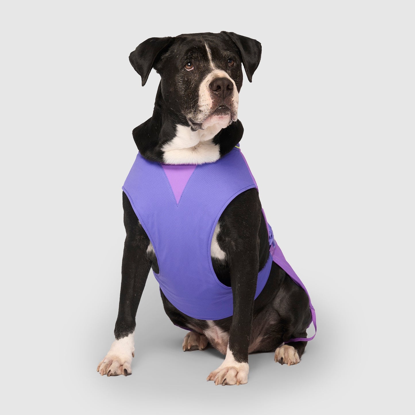 Max Chill Cooling Vest - Assorted Sizes/Colors