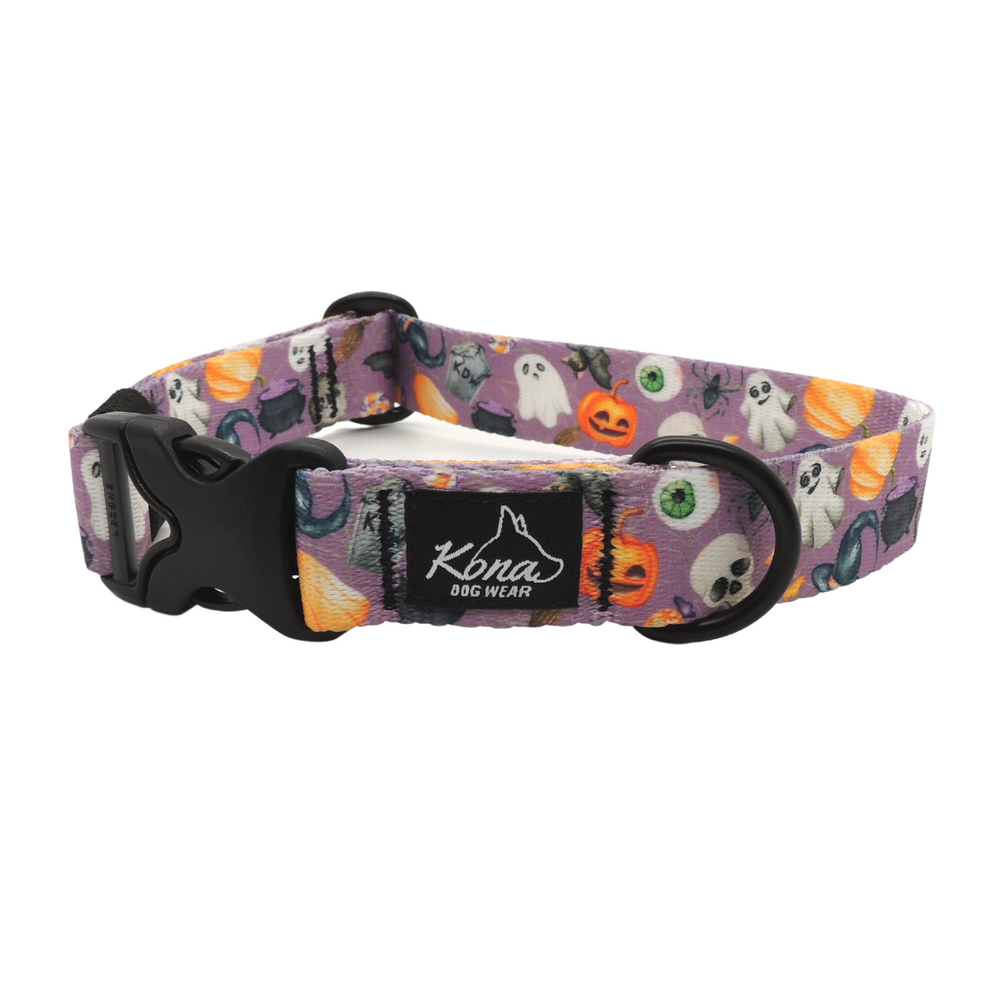 Collar para perros con hebilla Trick or Trick