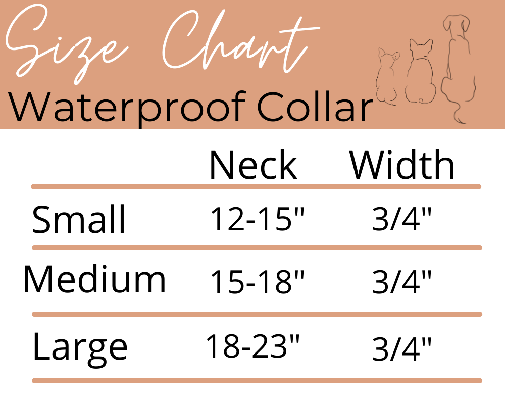 Collar impermeable para perros Check Me Out