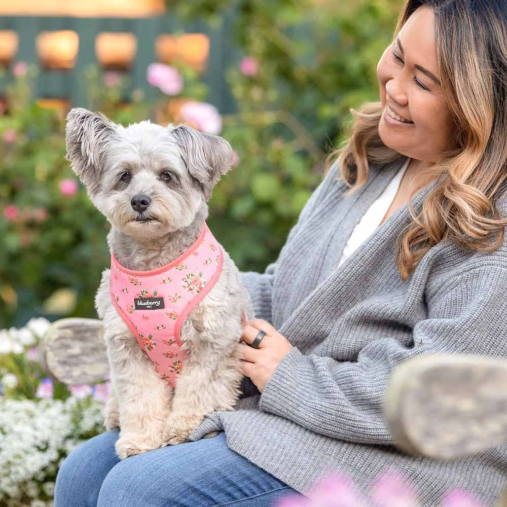 Chaleco arnés para perros con diseño floral de Petal Paws