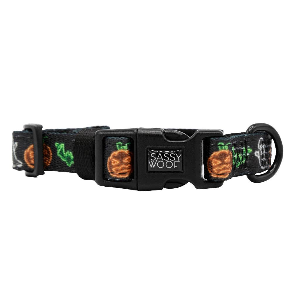 Collar para perros - Neon Frights