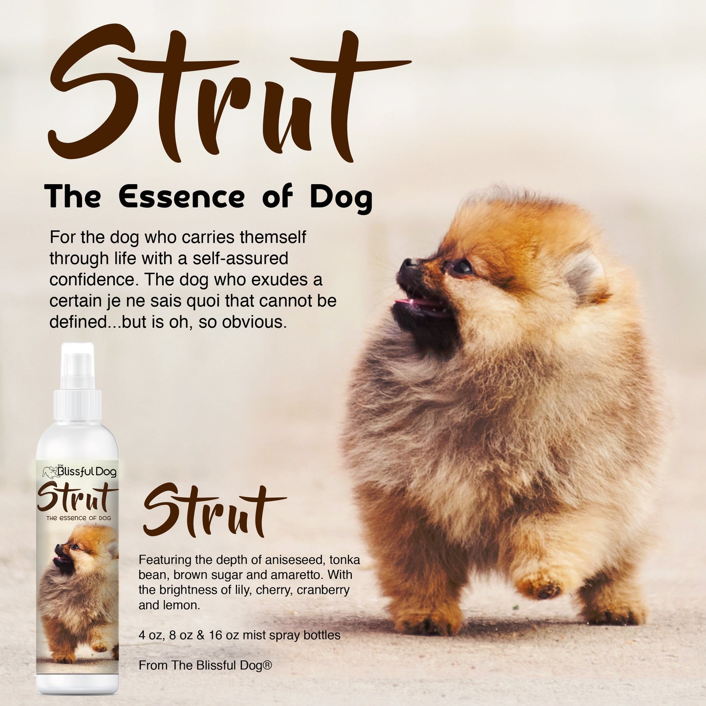 Olfateo de colonia Strut Dog irresistible