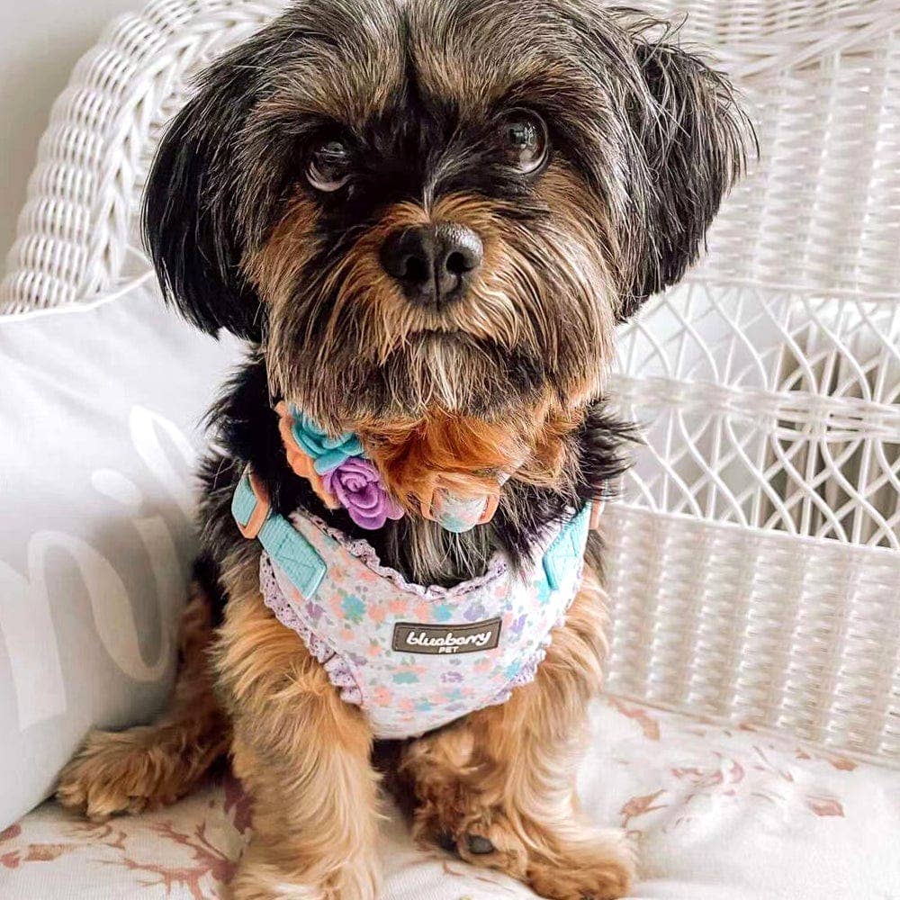 Floral Dog Collar with Flower - Assorted Colors