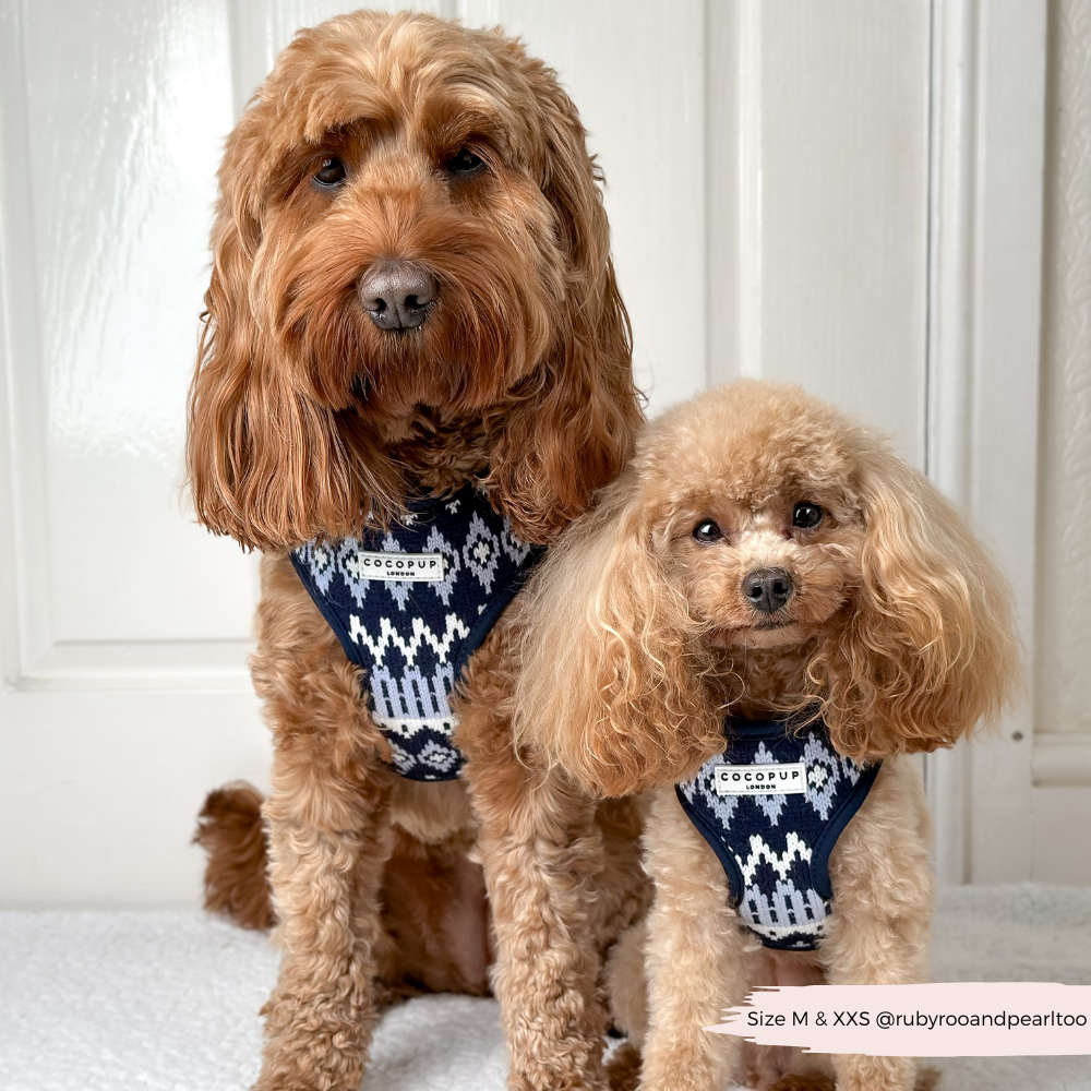Arnés ajustable para perros Chalet Pup