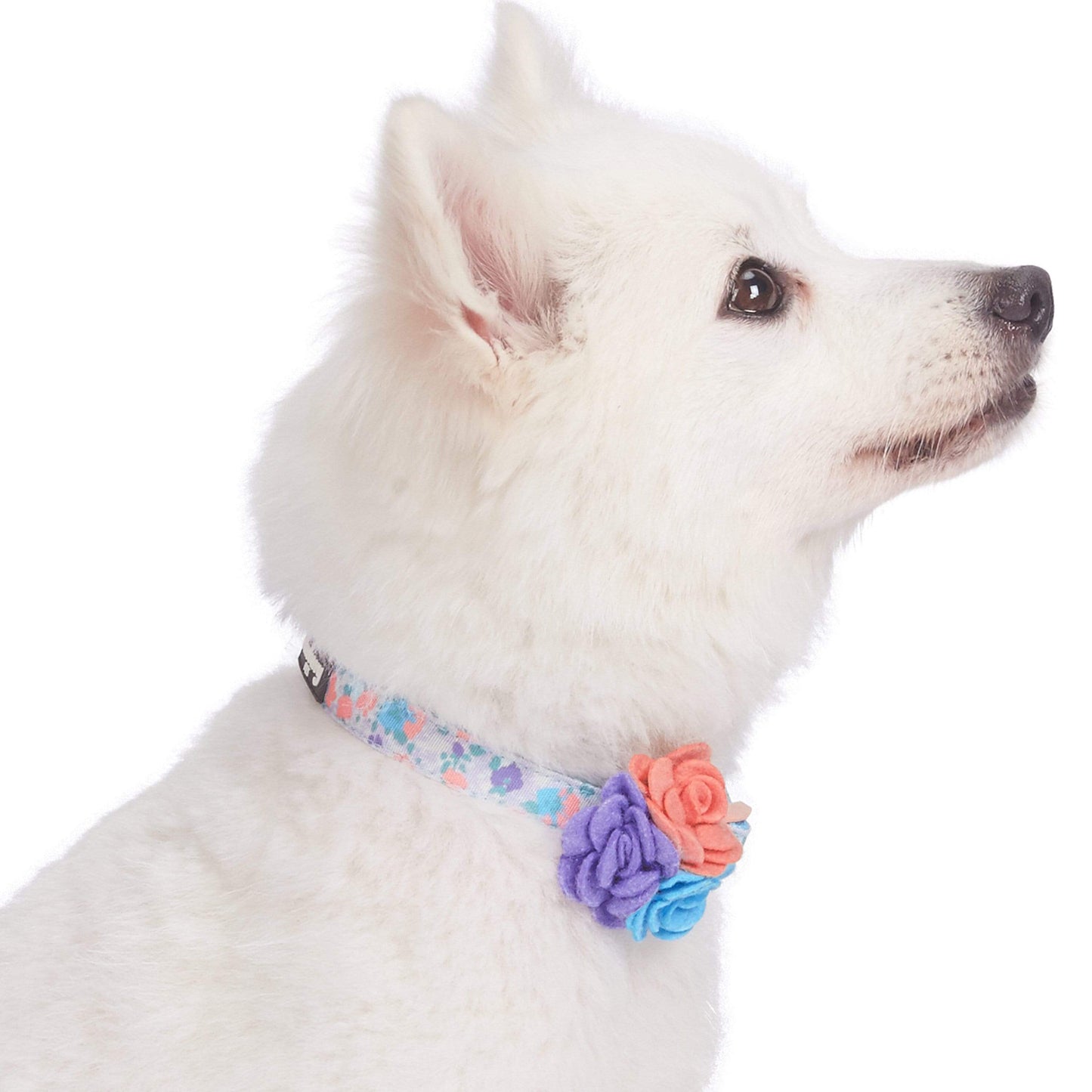 Floral Dog Collar with Flower - Assorted Colors