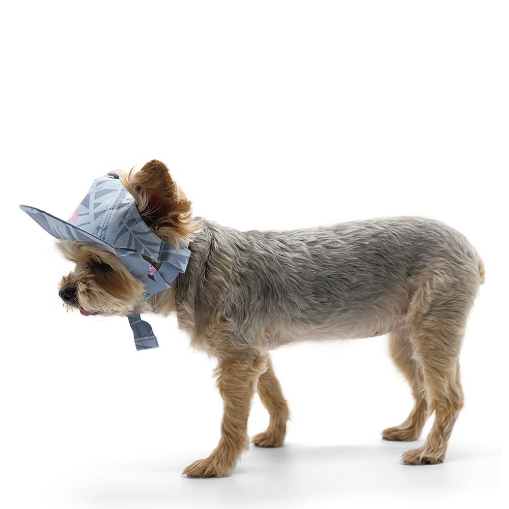 Flamingo Dog Hat