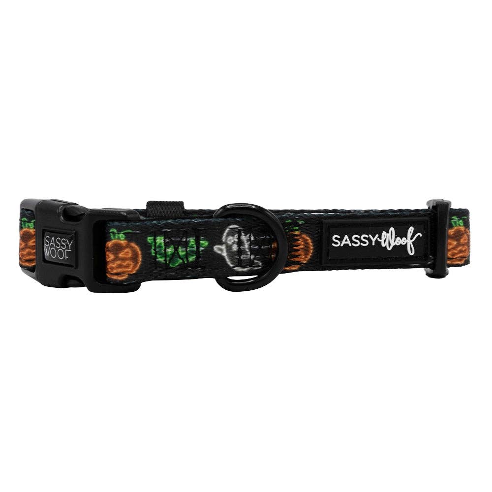 Collar para perros - Neon Frights