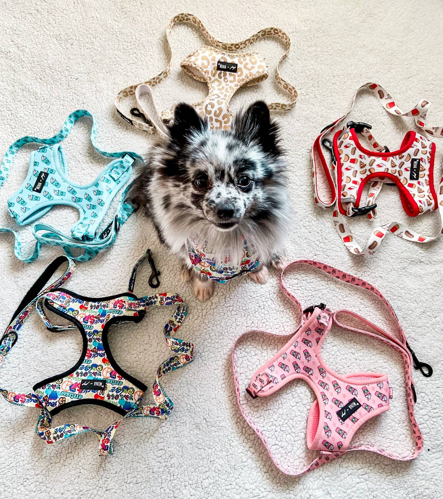 Arnés ajustable para perros Blue Pupshake