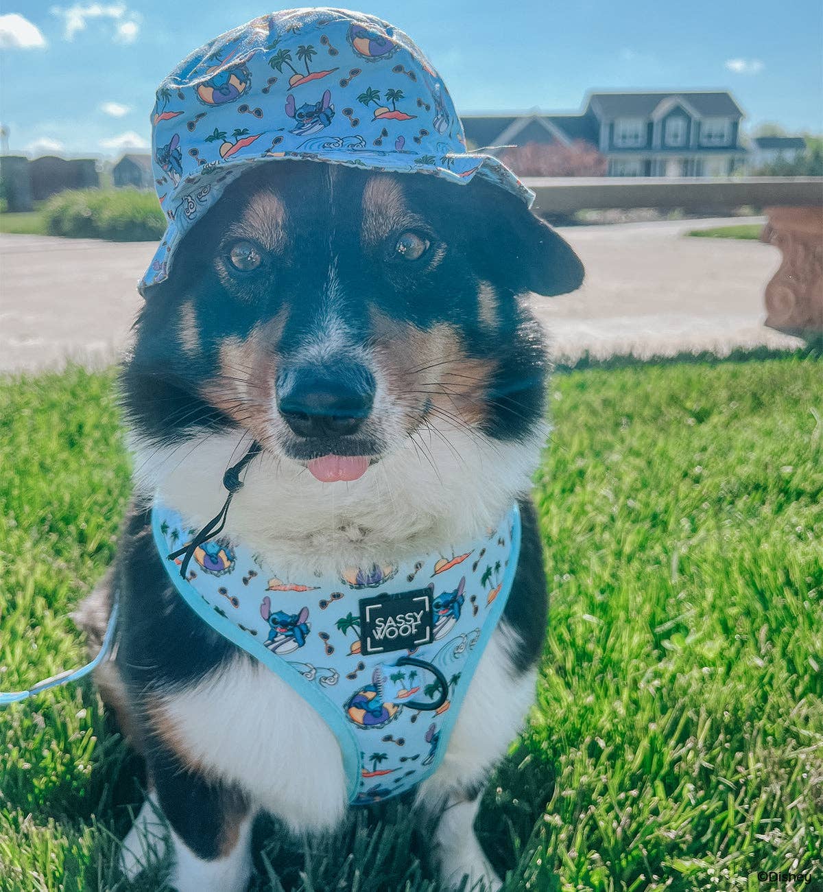 Dog Bucket Hat - Disney's Stitch