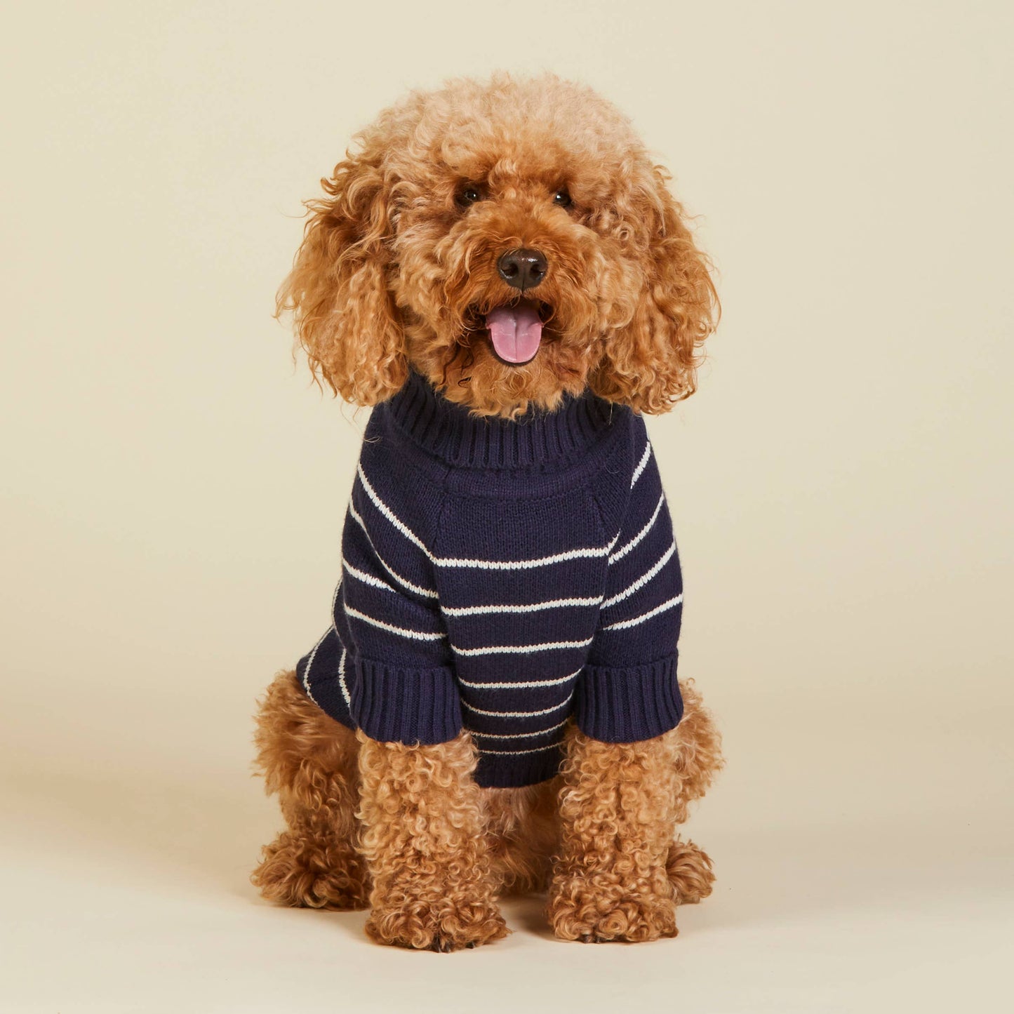 TFD x Draper James Mariner Stripe Dog Sweater