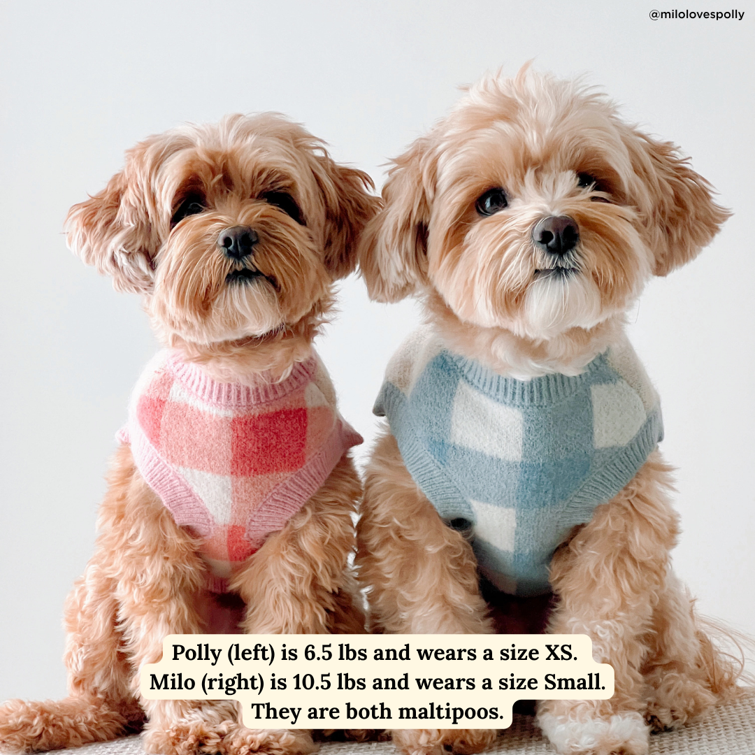 Take a Bow Sweater: Pink