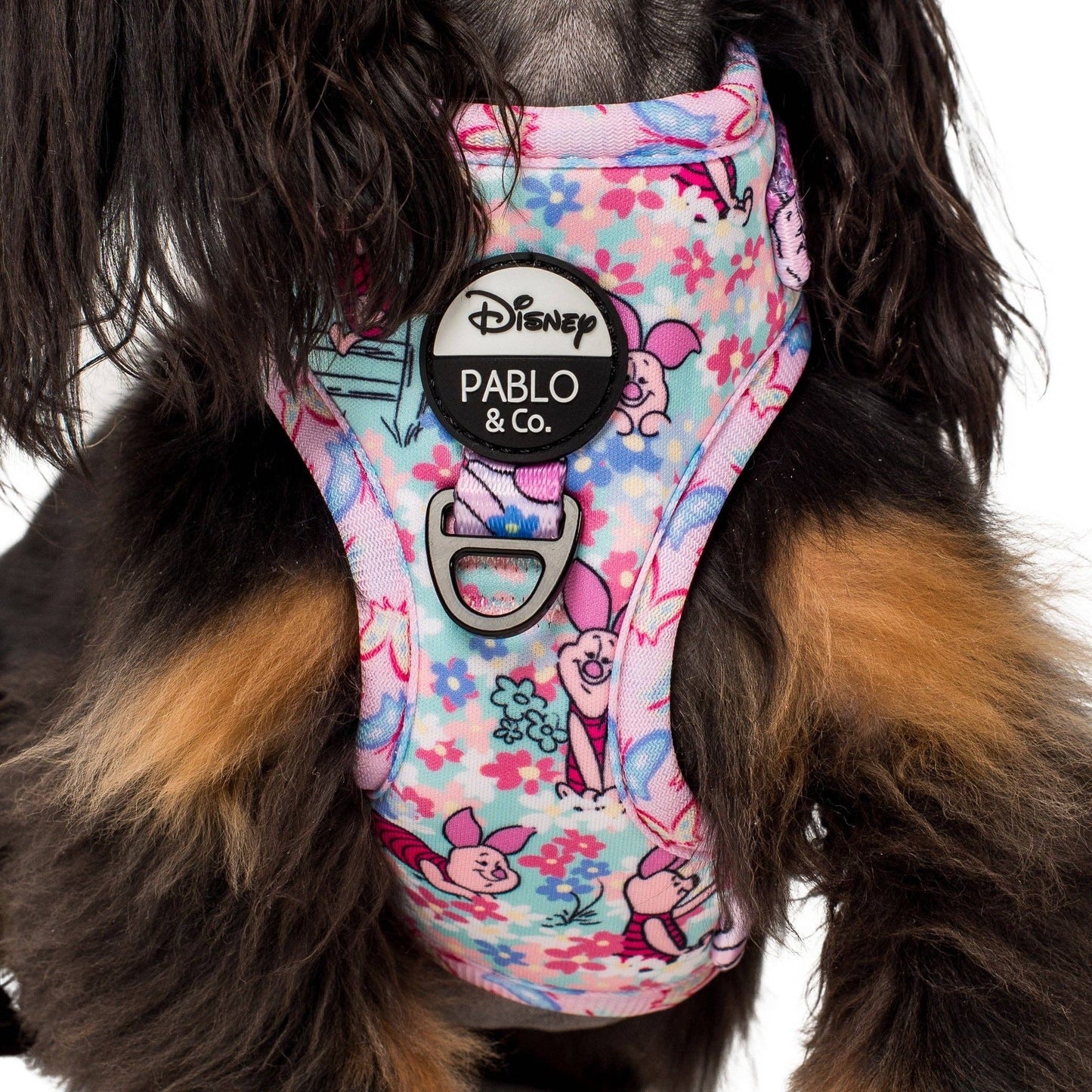Piglet: Adjustable Dog Harness