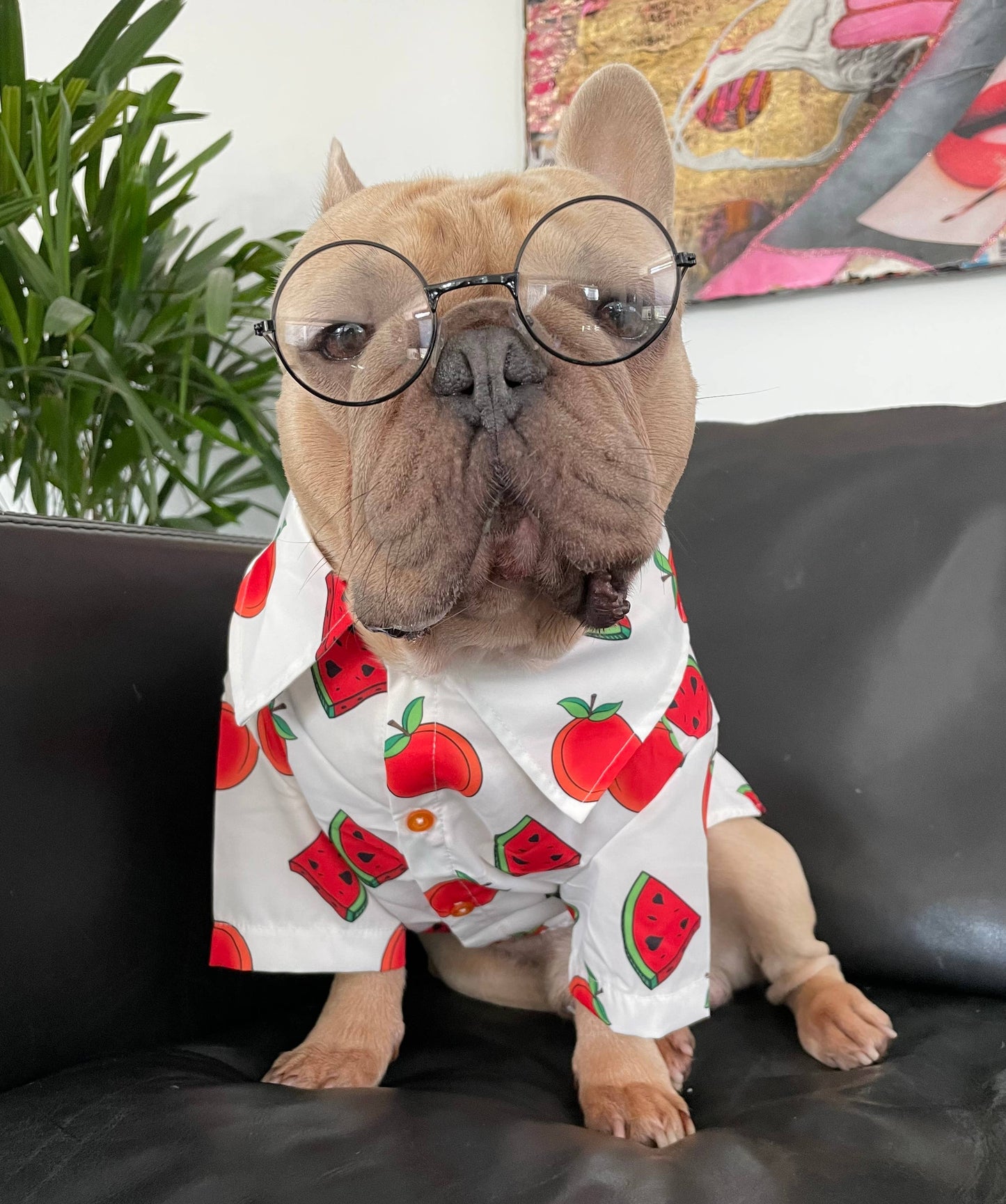 Tutti Frutti Sandía Verano Perro Camisa