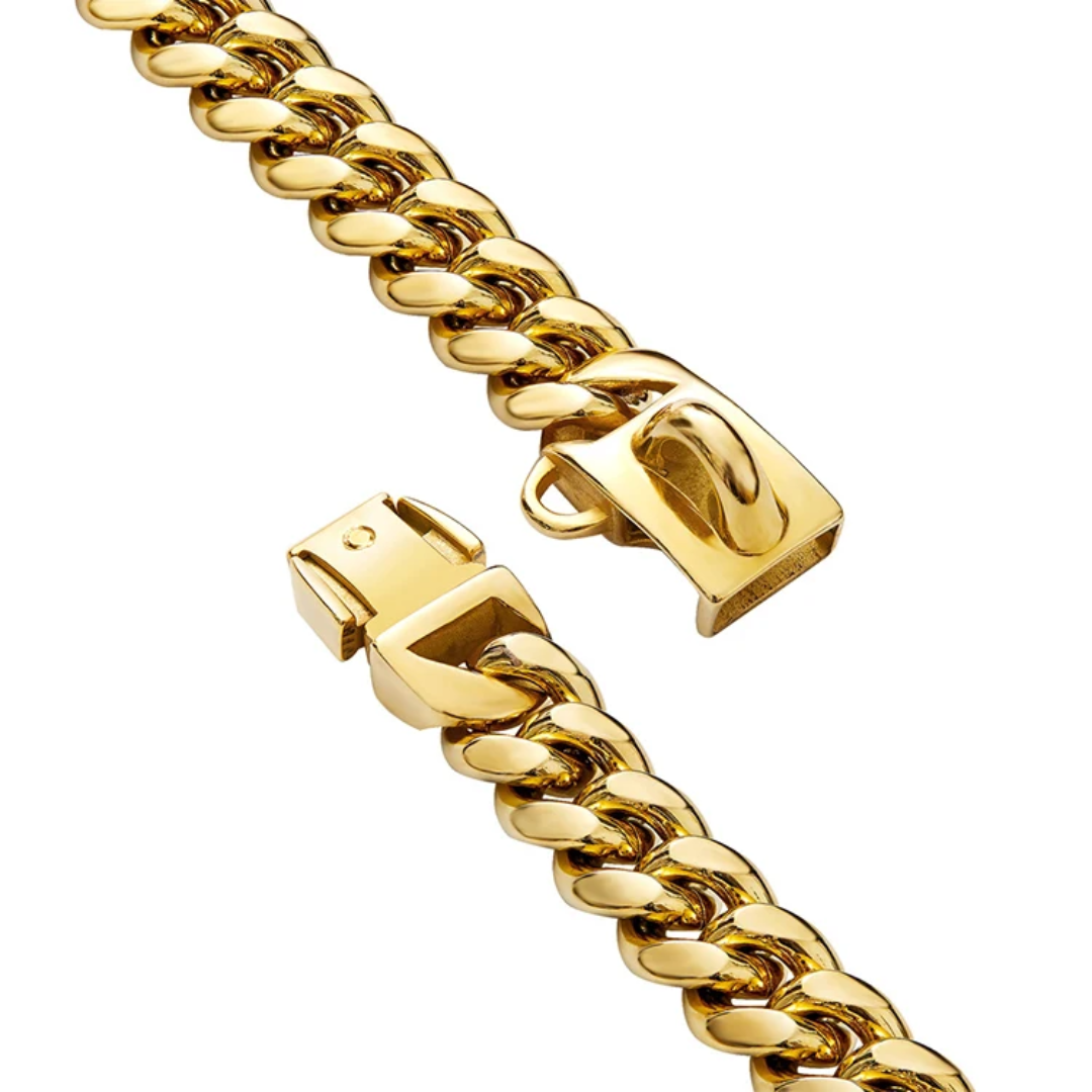 Gold Link Chain Dog Collar