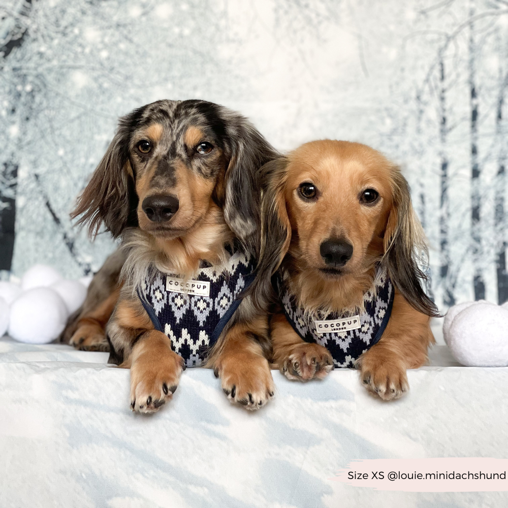 Arnés ajustable para perros Chalet Pup