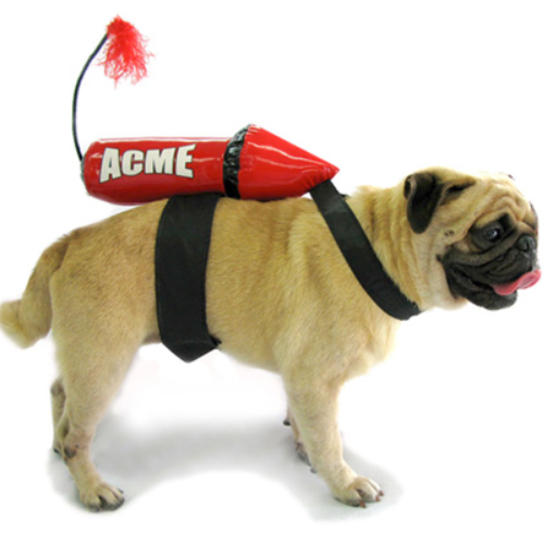 ACME Rocket Costume