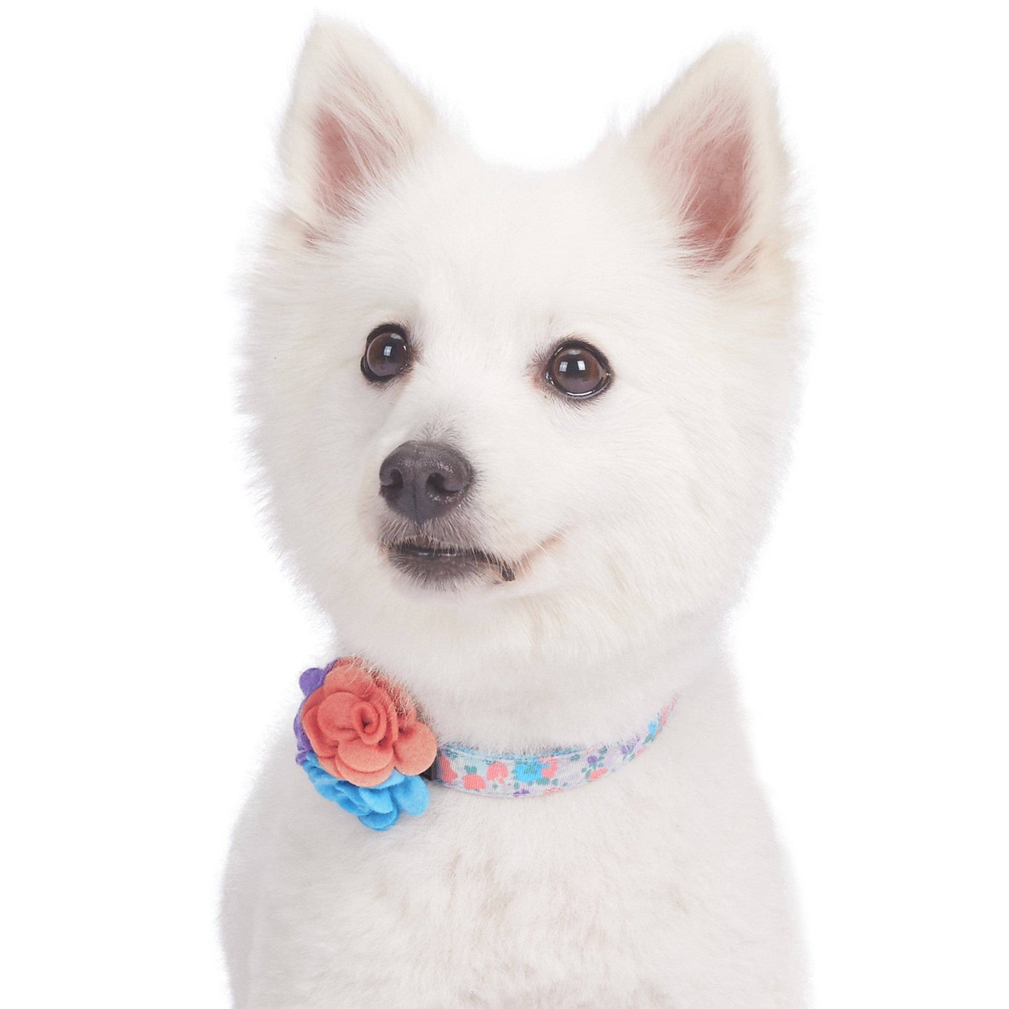 Floral Dog Collar with Flower - Assorted Colors