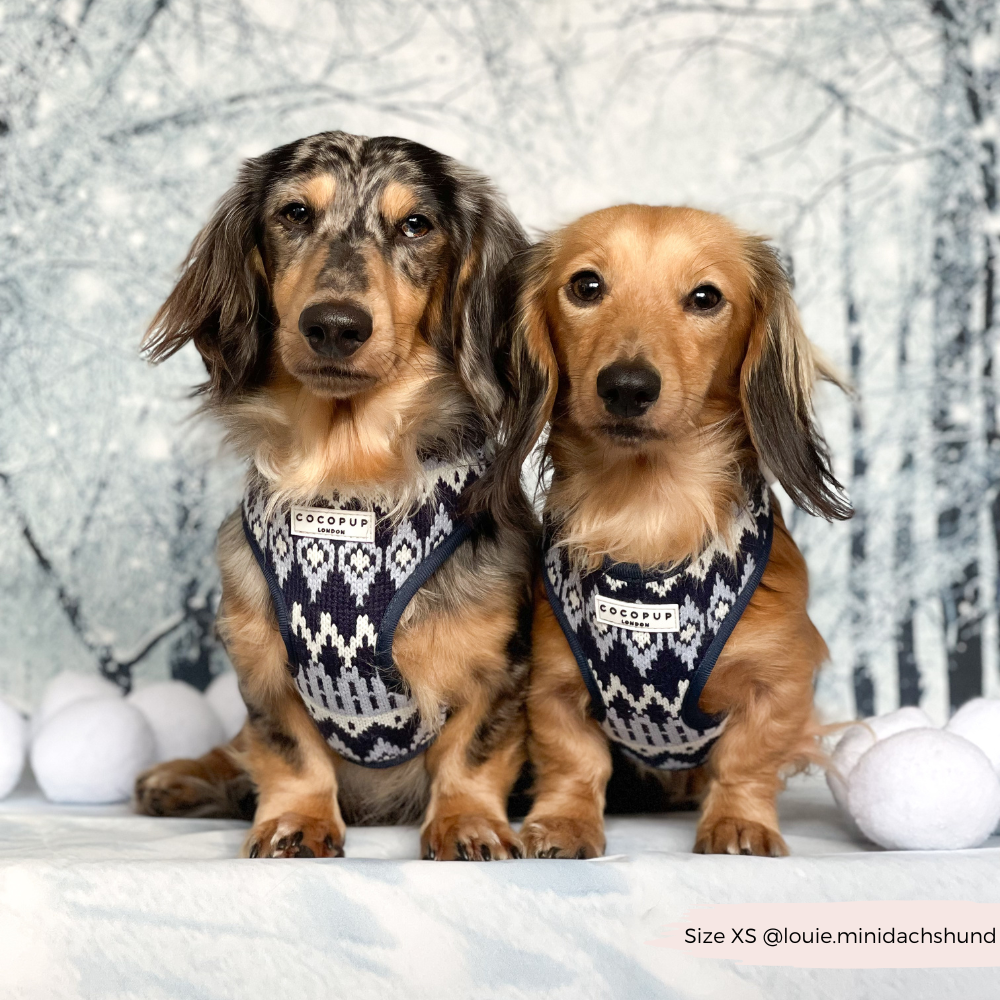 Arnés ajustable para perros Chalet Pup