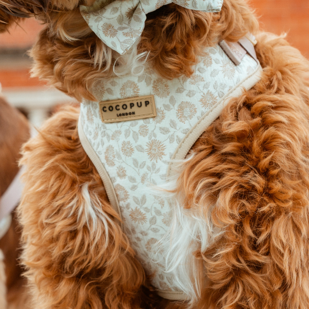 Luxe Adjustable Neck Harness - Garden Meadow