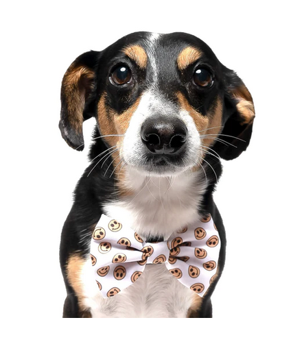 All Smiles - Dog Collar Bow Tie