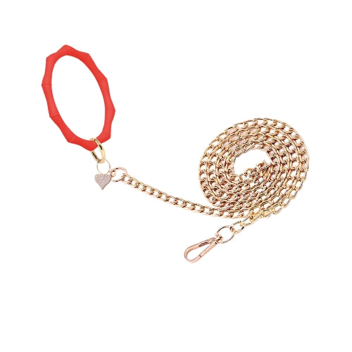 Correa para perro con brazalete